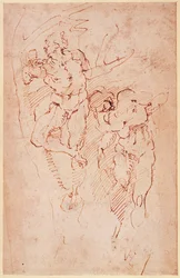 Studien männlicher Akte